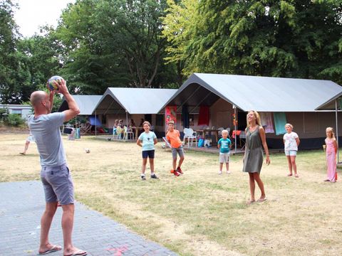Molecaten Park Bosbad Hoeven - Camping Halderberge - Image N°18