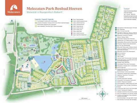 Molecaten Park Bosbad Hoeven - Camping Halderberge - Image N°21