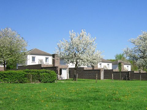 Bungalowpark Landsrade - Camping Gulpen-Wittem - Image N°10