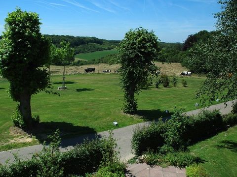Bungalowpark Landsrade - Camping Gulpen-Wittem - Image N°15