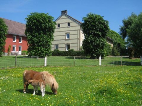 Bungalowpark Landsrade - Camping Gulpen-Wittem - Image N°35