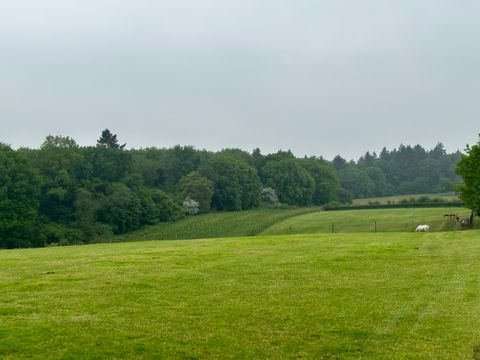 Bungalowpark Landsrade - Camping Gulpen-Wittem - Image N°19