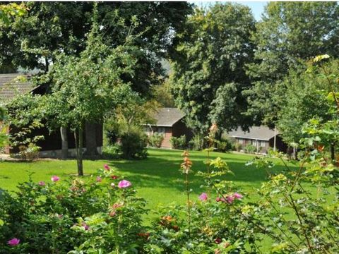 La Boverie - Camping Luxembourg - Image N°8