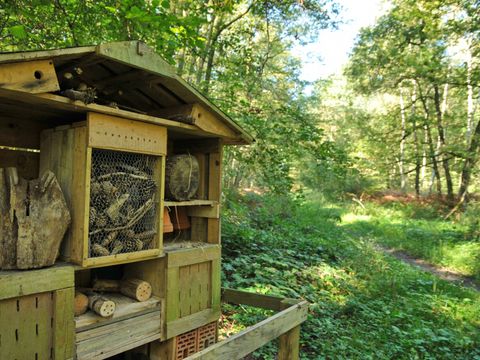 Village de Vacances d Oignies - Camping Hainaut - Image N°4