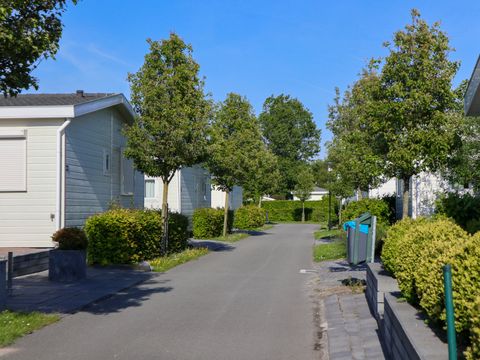 EuroParcs Schoneveld - Camping Sluis - Image N°46