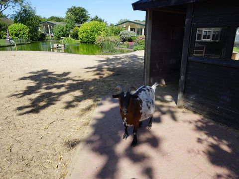 EuroParcs Molengroet - Camping Langedijk