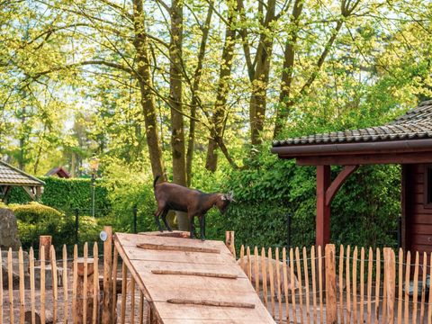 EuroParcs De Achterhoek - Camping Lochem - Image N°27