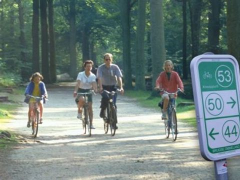Recreatiepark Klein Strand - Camping Flandre Occidentale - Image N°9