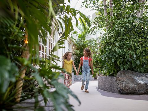 Center Parcs Park Zandvoort - Camping Zandvoort - Image N°54