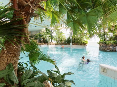 Center Parcs Limburgse Peel - Camping Horst an der Maas