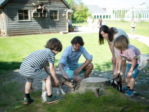 Center Parcs Limburgse Peel - Camping Horst an der Maas - Image N°36
