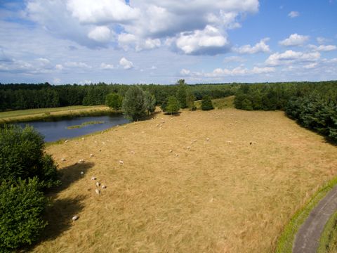Center Parcs Limburgse Peel - Camping Horst an der Maas - Image N°20