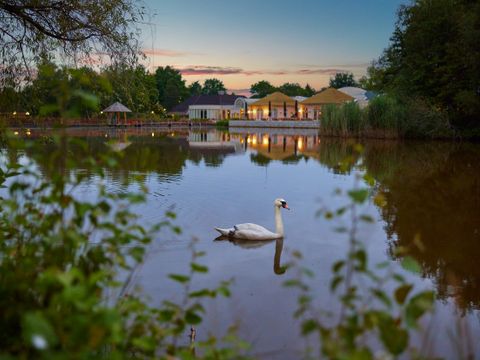 Center Parcs Limburgse Peel - Camping Horst an der Maas - Image N°29