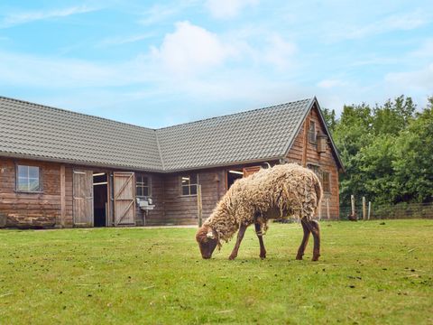 Center Parcs Limburgse Peel - Camping Horst an der Maas - Image N°4