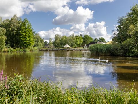 Center Parcs Limburgse Peel - Camping Horst an der Maas - Image N°4