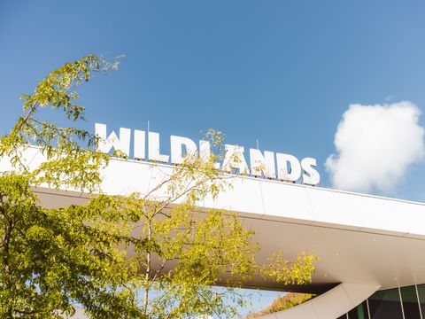 Landal Vakantiepark Hunzedal - Camping Borger-Odoorn - Image N°4