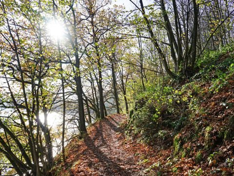 Vakantiepark Worriken - Camping Liège