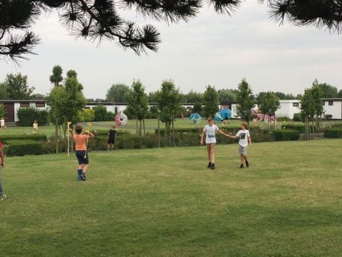 Jonckershof - Camping Flandre Occidentale - Image N°5