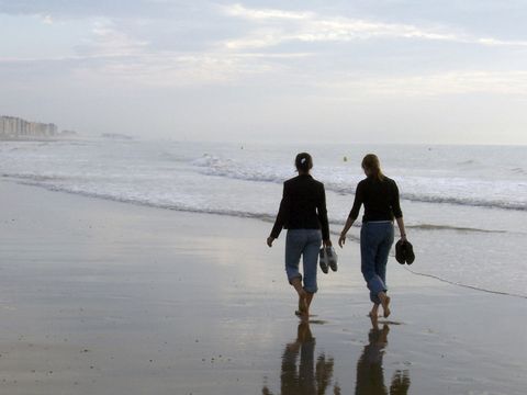 Jonckershof - Camping Flandre Occidentale - Image N°2