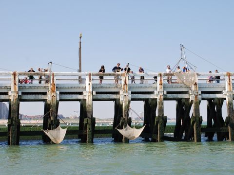 Kompas Camping Westende - Camping Flandre Occidentale - Image N°25
