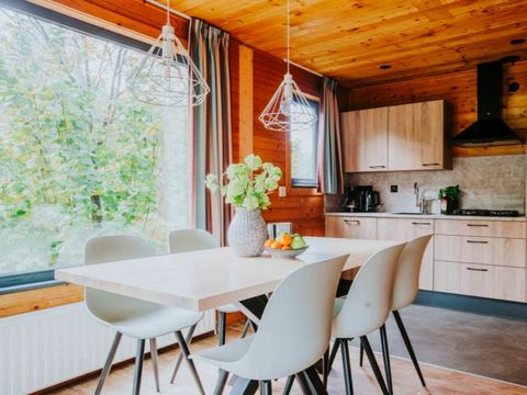 Vakantiepark Dierenbos - Camping Meierijstad - Image N°4