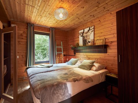 Vakantiepark Dierenbos - Camping Meierijstad - Image N°5