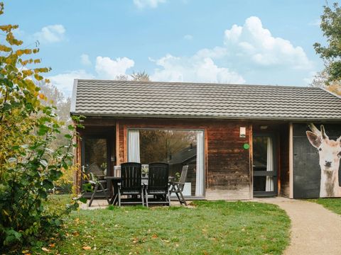 Vakantiepark Dierenbos - Camping Meierijstad