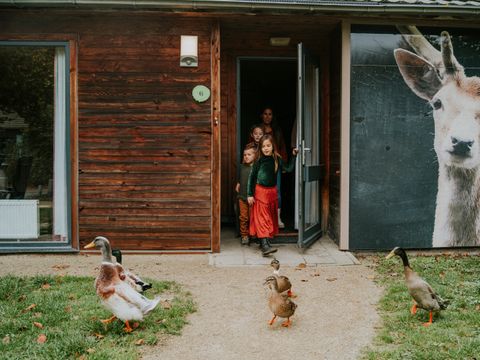 Vakantiepark Dierenbos - Camping Meierijstad