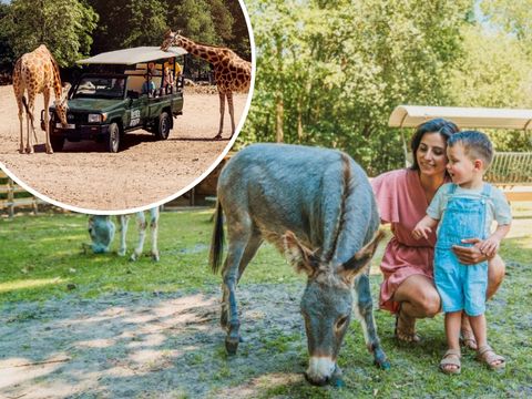 Vakantiepark Dierenbos - Camping Meierijstad