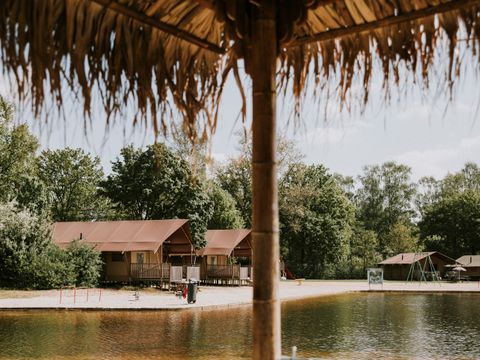 Vakantiepark Dierenbos - Camping Meierijstad - Image N°3