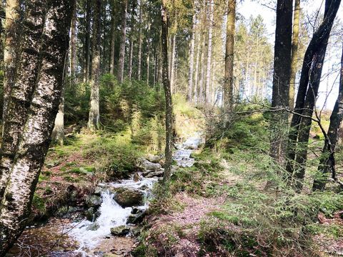 Camping Oos Heem - Camping Liège - Image N°5