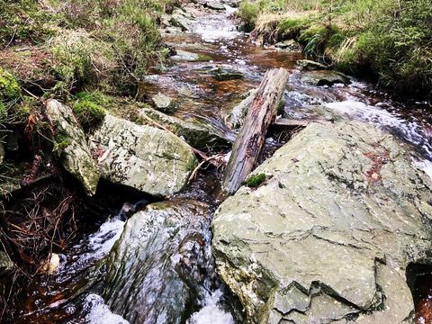 Camping Oos Heem - Camping Liège - Image N°4