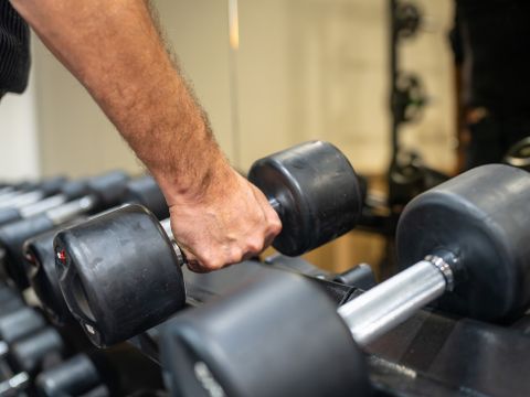 Landal Landgoed De Elsgraven - Camping Wierden