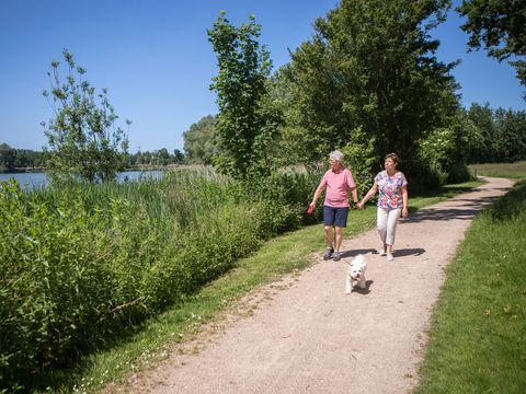 Vakantiepark Hof van Zeeland - Camping Borsele - Image N°25