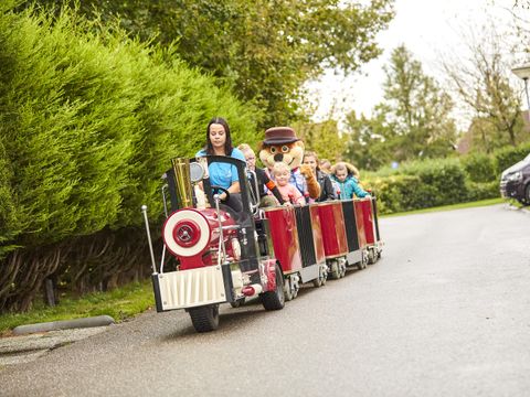 Vakantiepark Hof van Zeeland - Camping Borsele - Image N°11