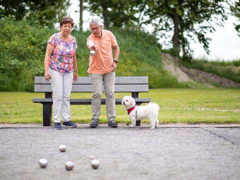 Vakantiepark Hof van Zeeland - Camping Borsele
