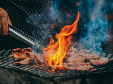 Vakantiepark 't Broeckhuys - Camping Beuningen