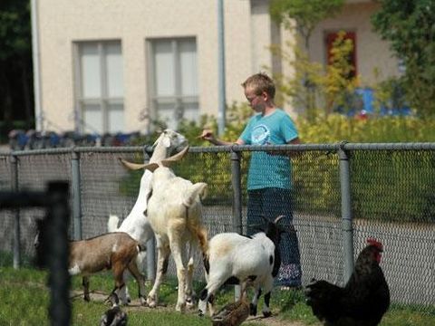 Vakantiepark 't Broeckhuys - Camping Beuningen