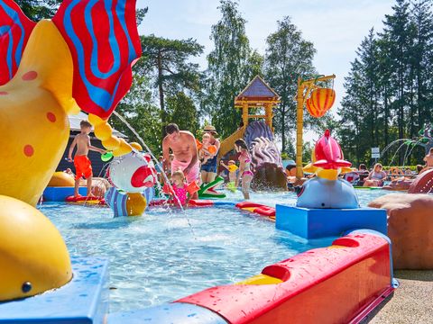 Vakantiepark Het Lierderholt - Camping Apeldoorn - Image N°5