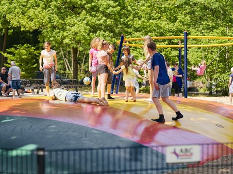 Vakantiepark Het Lierderholt - Camping Apeldoorn - Image N°11