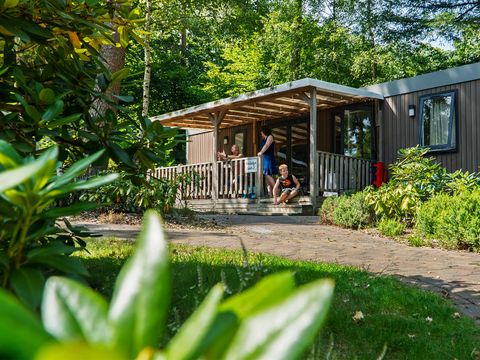 Vakantiepark Het Lierderholt - Camping Apeldoorn