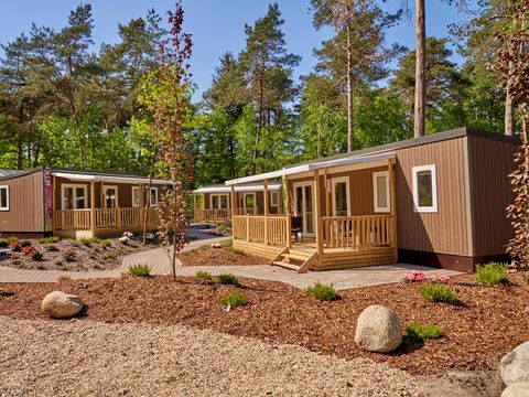 Vakantiepark Het Lierderholt - Camping Apeldoorn - Image N°14