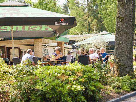 Vakantiepark Het Lierderholt - Camping Apeldoorn - Image N°13