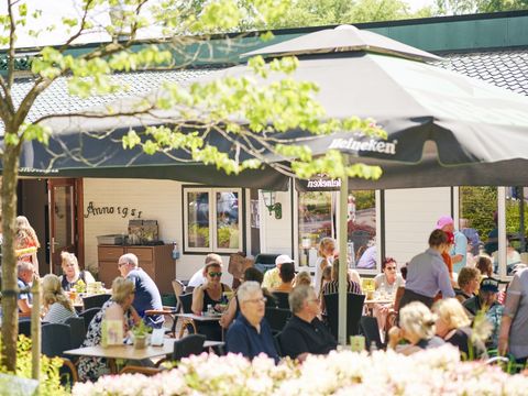 Vakantiepark Het Lierderholt - Camping Apeldoorn - Image N°12