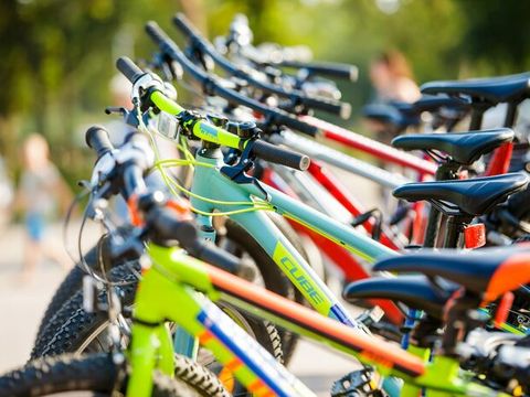 Vakantiepark Leukermeer - Camping Bergen