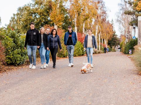 Vakantiepark Leukermeer - Camping Bergen - Image N°12