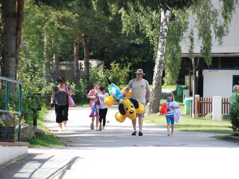 Ferienpark Heidesee - Camping Basse-saxe - Image N°3