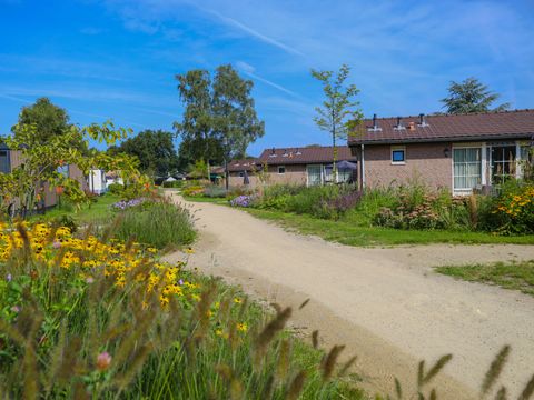 Recreatiepark De Boshoek - Camping Barneveld - Image N°7