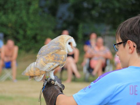 Camping de Watertoren - Camping Landgraaf