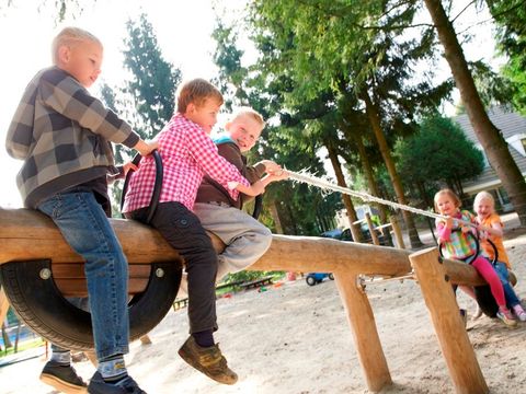 Vakantiepark De Bosrand - Camping Epe - Image N°4